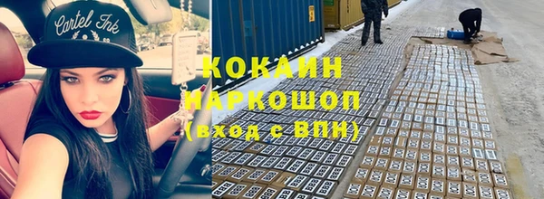 прущие грибы Армянск