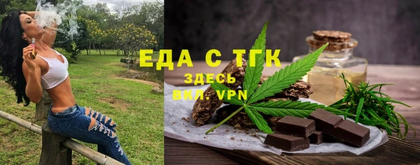 индика Арсеньев