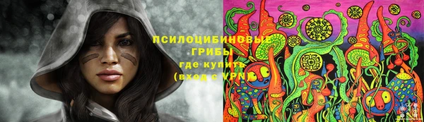 прущие грибы Армянск