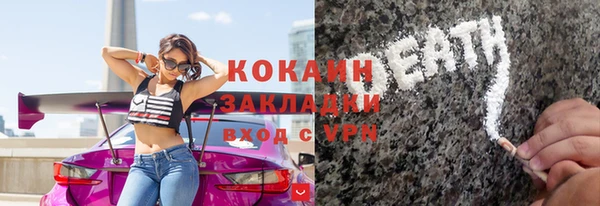 индика Арсеньев